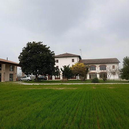 Agriturismo Trabucco Casale sul Sile Εξωτερικό φωτογραφία