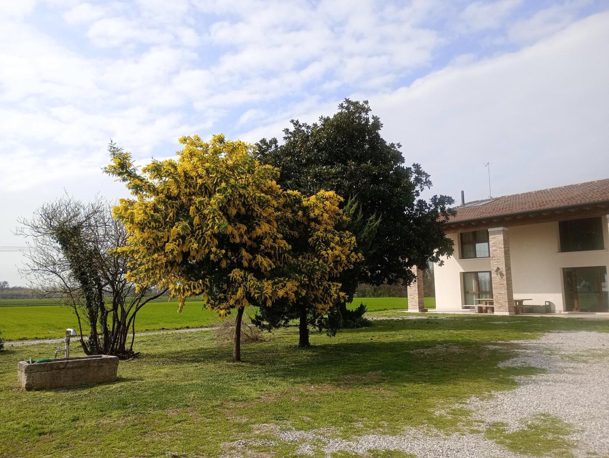 Agriturismo Trabucco Casale sul Sile Εξωτερικό φωτογραφία